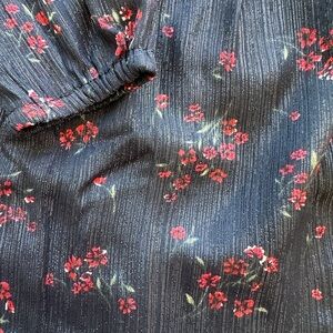 OshKosh B'gosh Navy and Red Dress